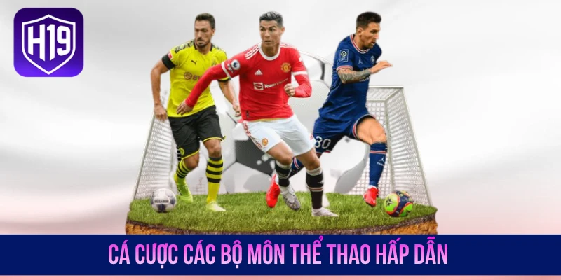 Cá cược các bộ môn thể thao hấp dẫn