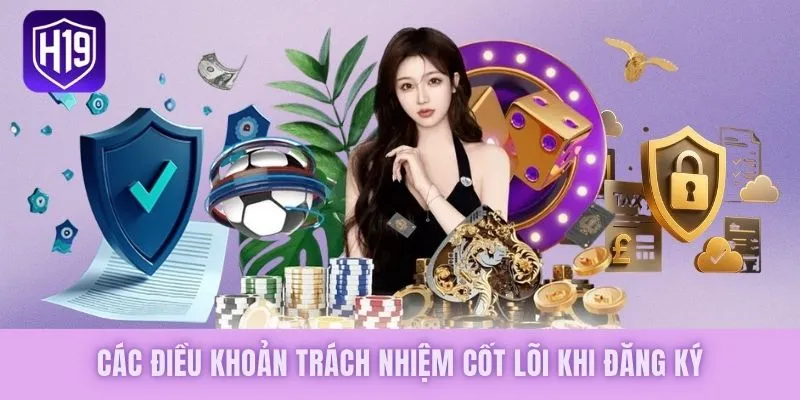 Các điều khoản trách nhiệm cốt lõi khi đăng ký