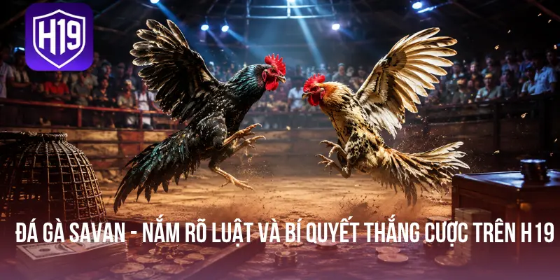 Đá Gà Savan - Nắm Rõ Luật Và Bí Quyết Thắng Cược Trên H19