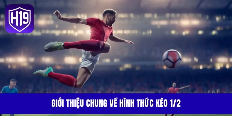 Giới thiệu chung về hình thức kèo 1/2